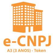 e-cnpj-a3-3-anos-token